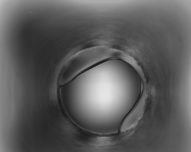 X0000090430150200707201142