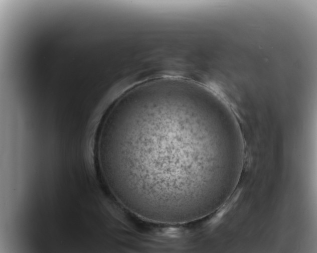X0000090430151200707201142