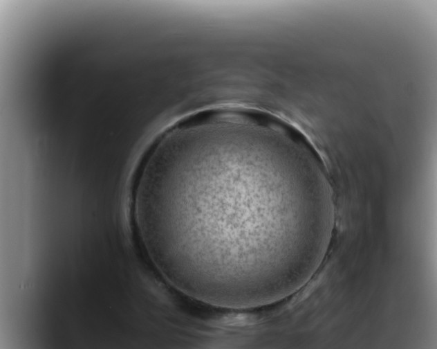 X0000090430152200707201142