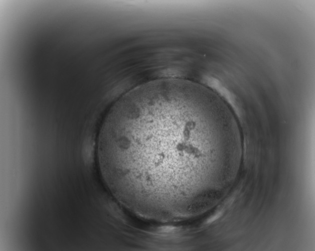 X0000090430153200707201142