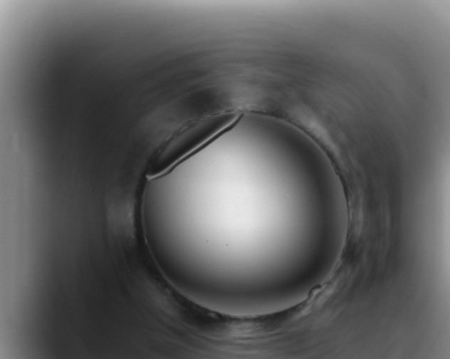 X0000090430154200707201142