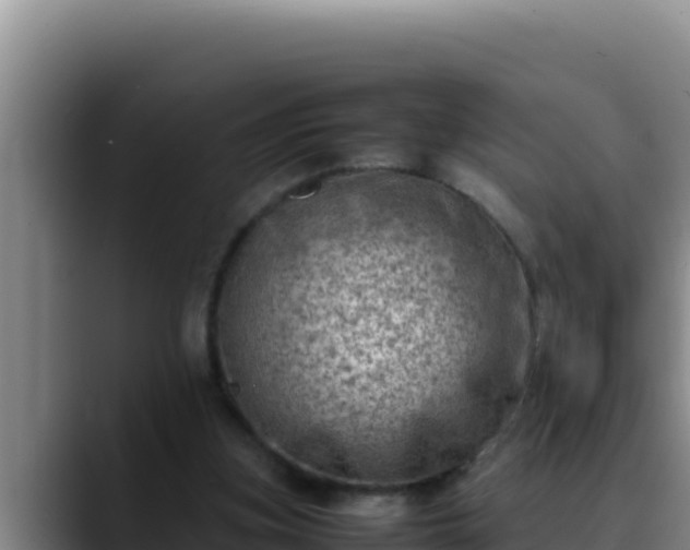 X0000090430155200707201142