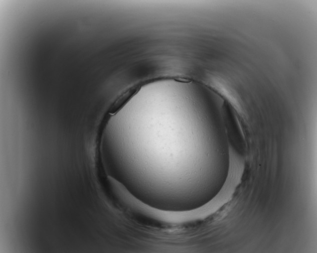 X0000090430156200707201142