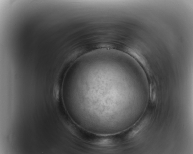 X0000090430157200707201142