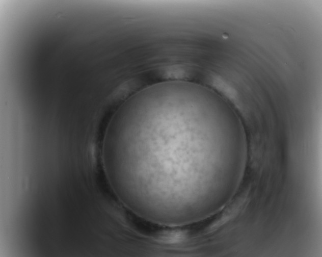 X0000090430161200707201142