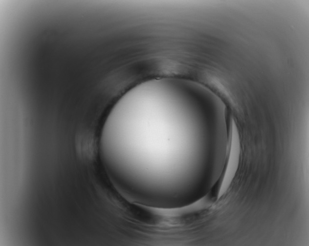 X0000090430164200707201143