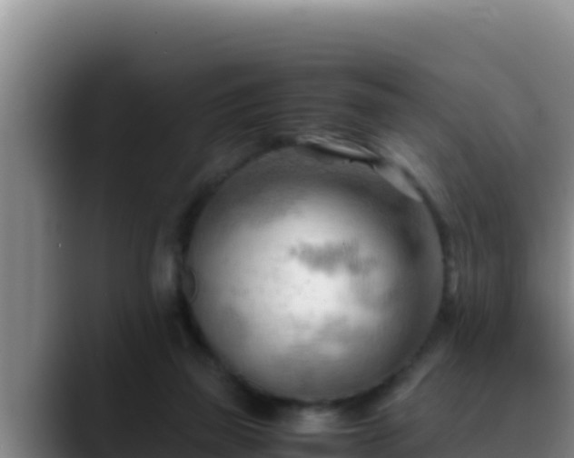 X0000090430165200707201143