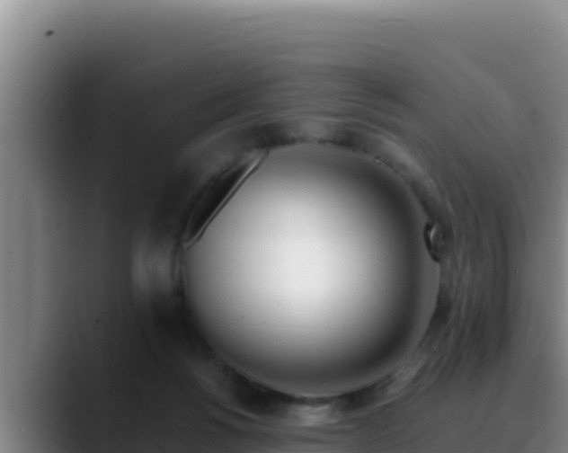 X0000090430168200707201143