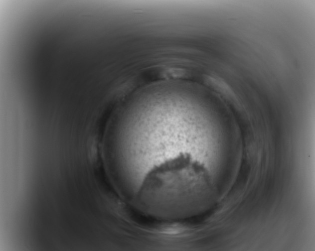 X0000090430169200707201143