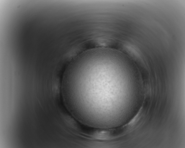X0000090430174200707201143