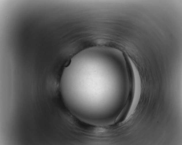 X0000090430176200707201143