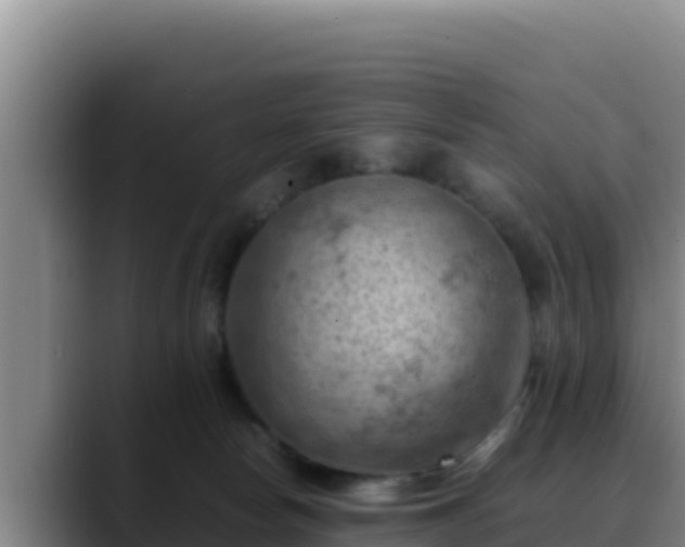 X0000090430178200707201143