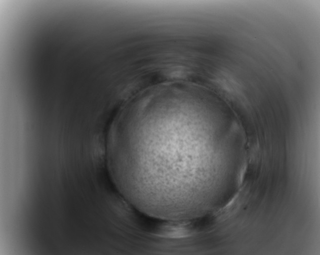 X0000090430179200707201143