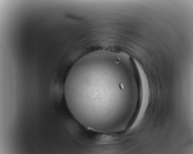X0000090430180200707201143