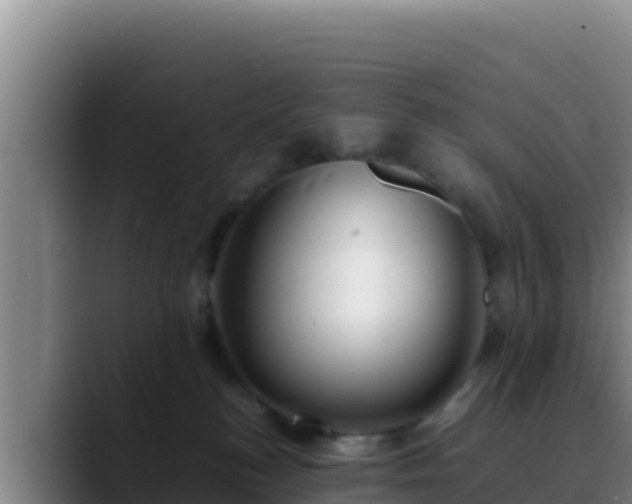 X0000090430184200707201143