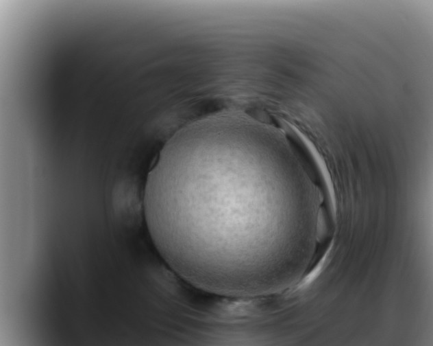 X0000090430186200707201143