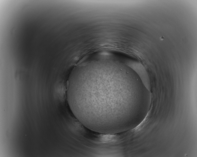 X0000090430192200707201143