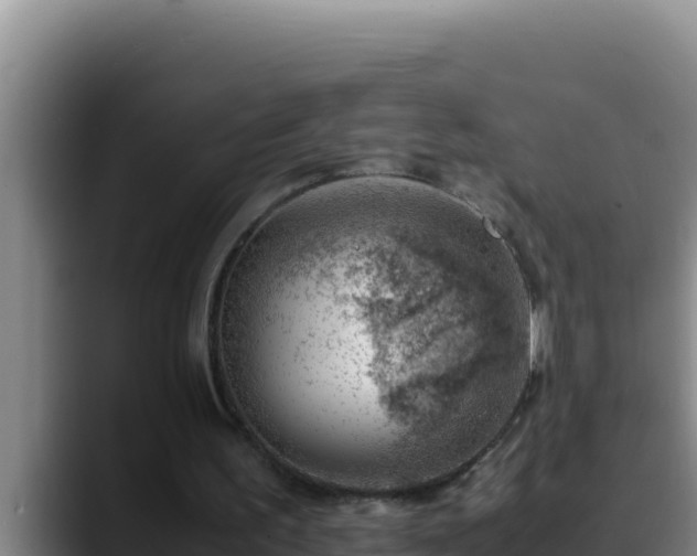 X0000090430195200707201142