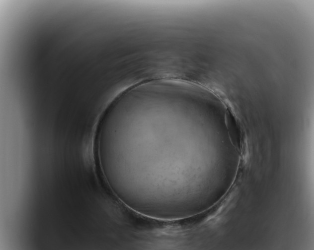 X0000090430196200707201142