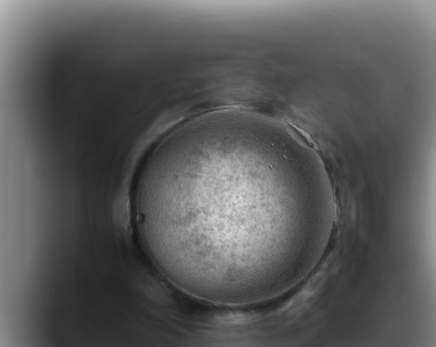 X0000090430198200707201142
