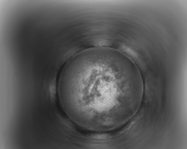 X0000090430202200707201142