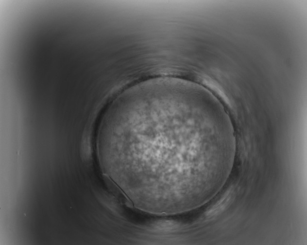 X0000090430203200707201142