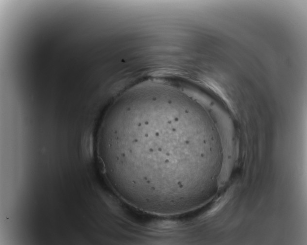 X0000090430205200707201142