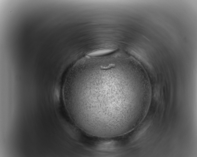 X0000090430206200707201142