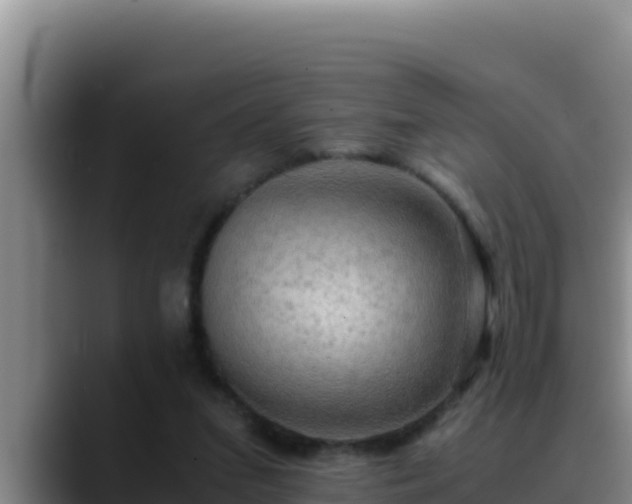 X0000090430207200707201142