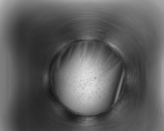 X0000090430208200707201142