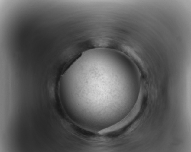 X0000090430209200707201142