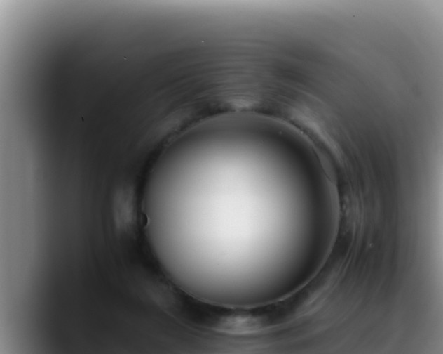 X0000090430212200707201142