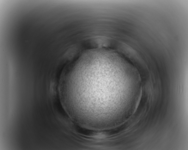 X0000090430218200707201142