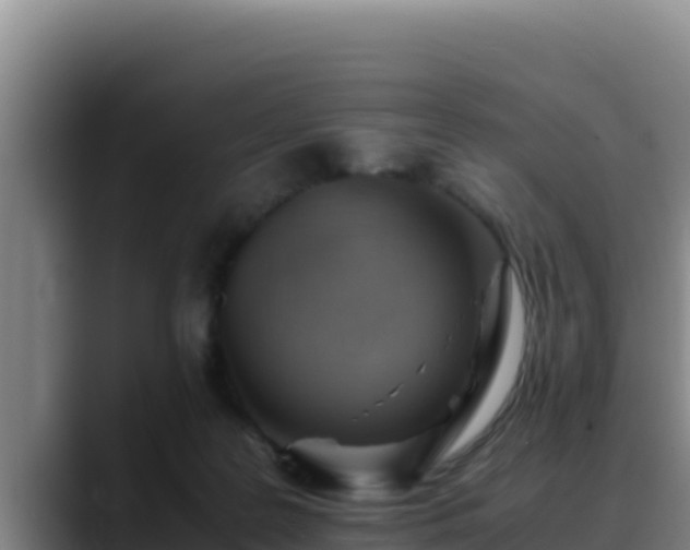 X0000090430219200707201142