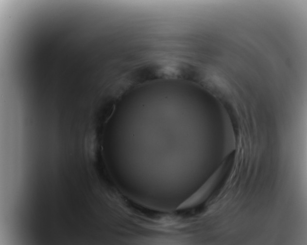 X0000090430223200707201142