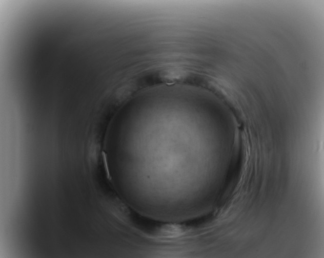 X0000090430227200707201142