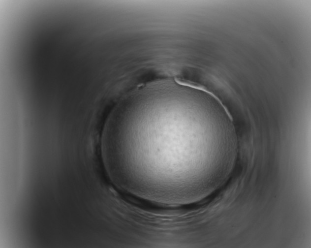 X0000090430229200707201142