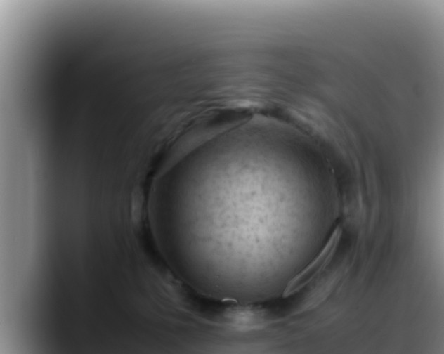 X0000090430231200707201142