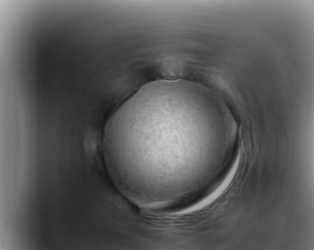 X0000090430233200707201142