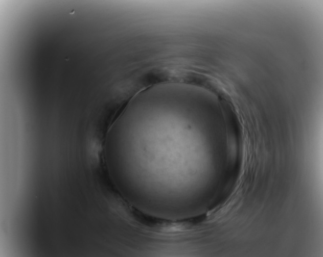 X0000090430235200707201142