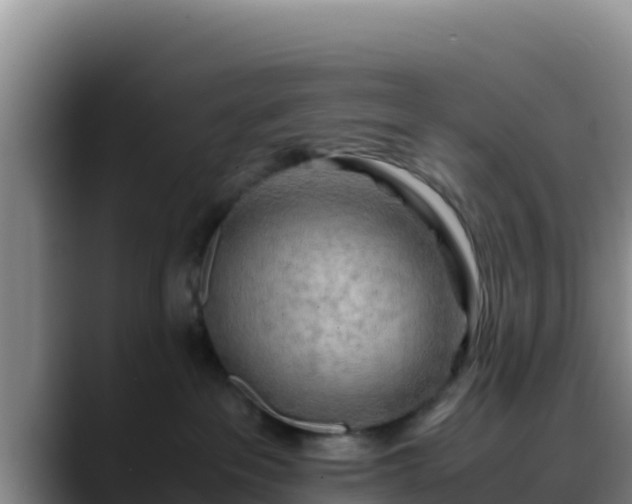 X0000090430237200707201142