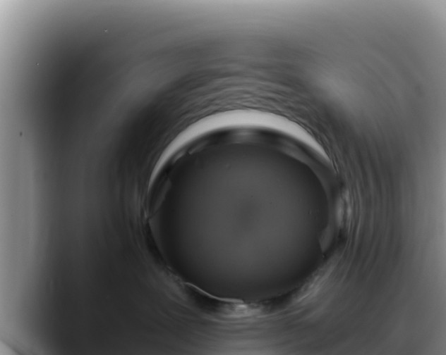 X0000090430239200707201142