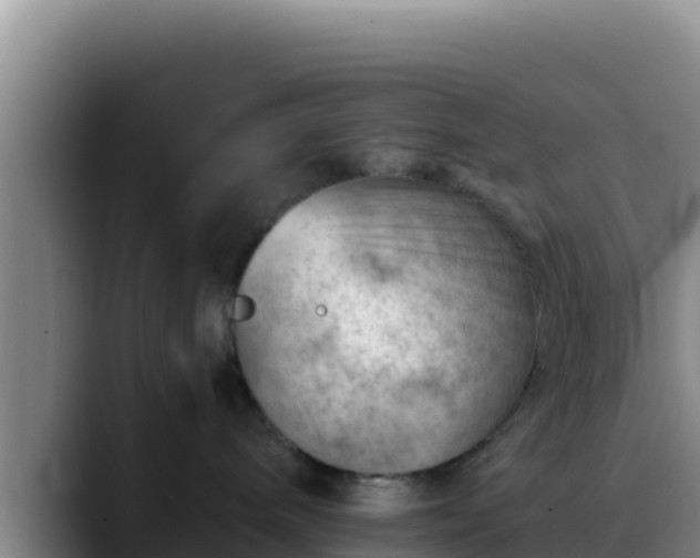 X0000090430240200707201142