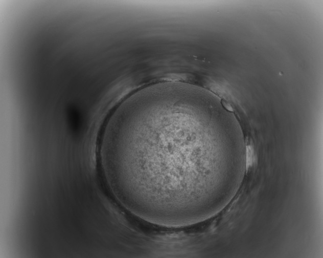 X0000090430243200707201141