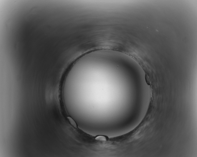 X0000090430244200707201141