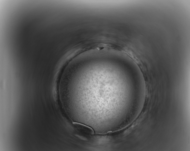 X0000090430245200707201141