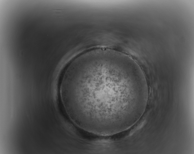 X0000090430247200707201141