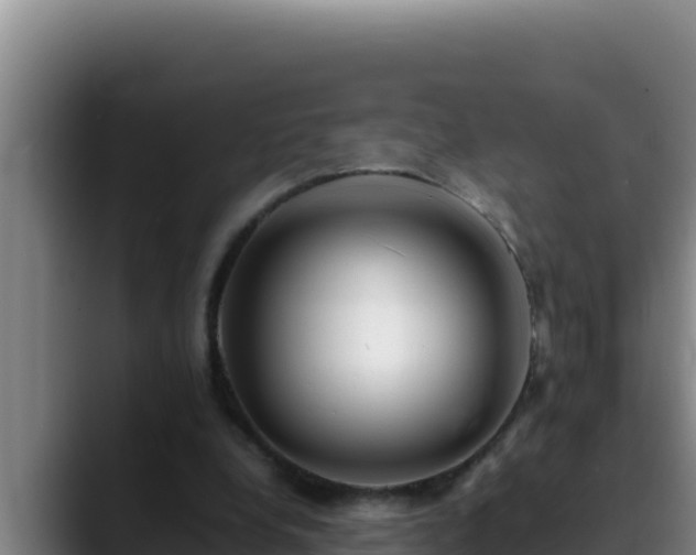 X0000090430248200707201141