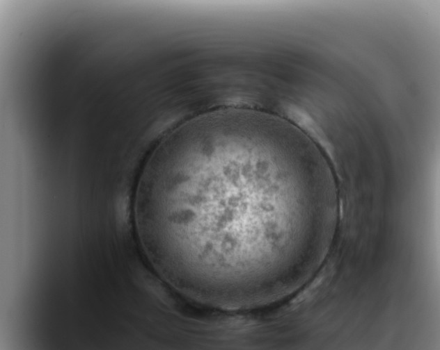 X0000090430249200707201141