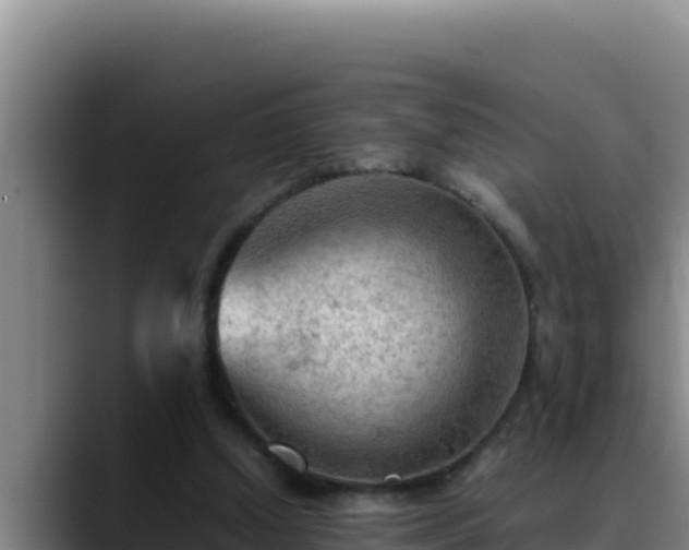 X0000090430250200707201141